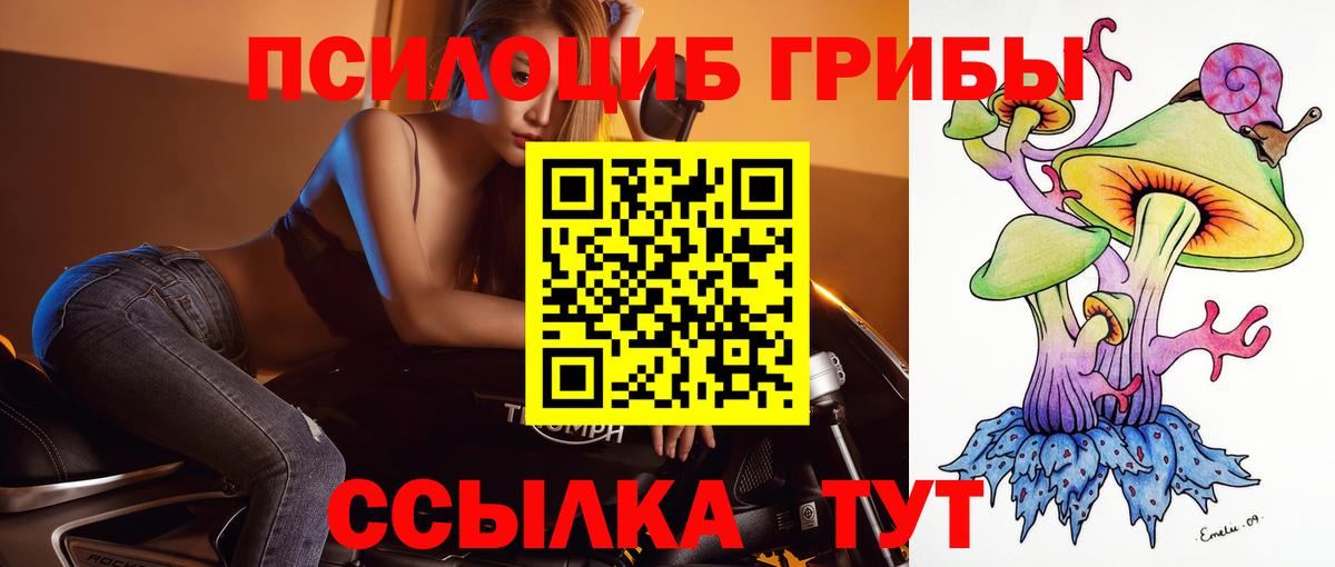 Псилоцибиновые грибы ЛСД Советская Гавань