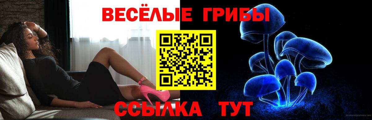 Советская Гавань  Галлюциногенные грибы Cubensis  Вход с VPN 